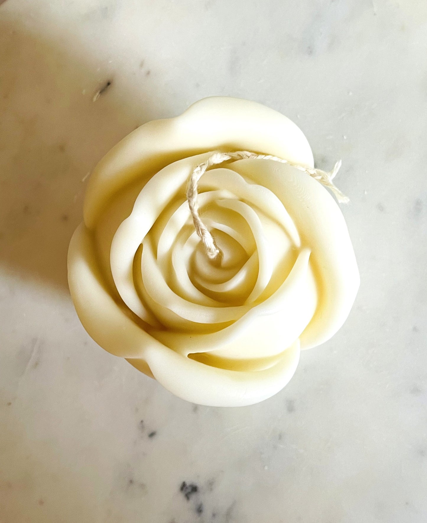 Rose Bud