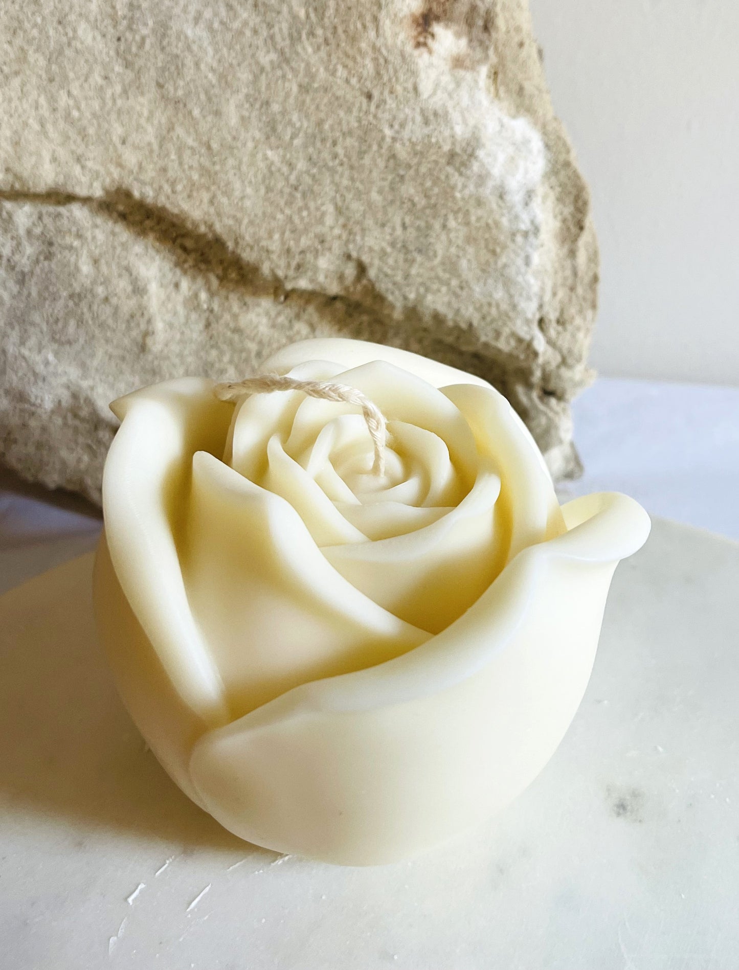 Rose Bud